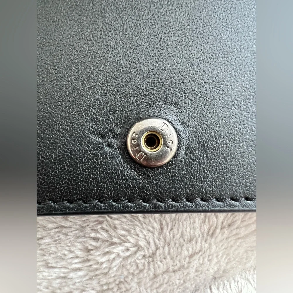 DIOR Lambskin Cannage Mini Lady Dior Wallet w/ RARE Iridescent Metallic Charms